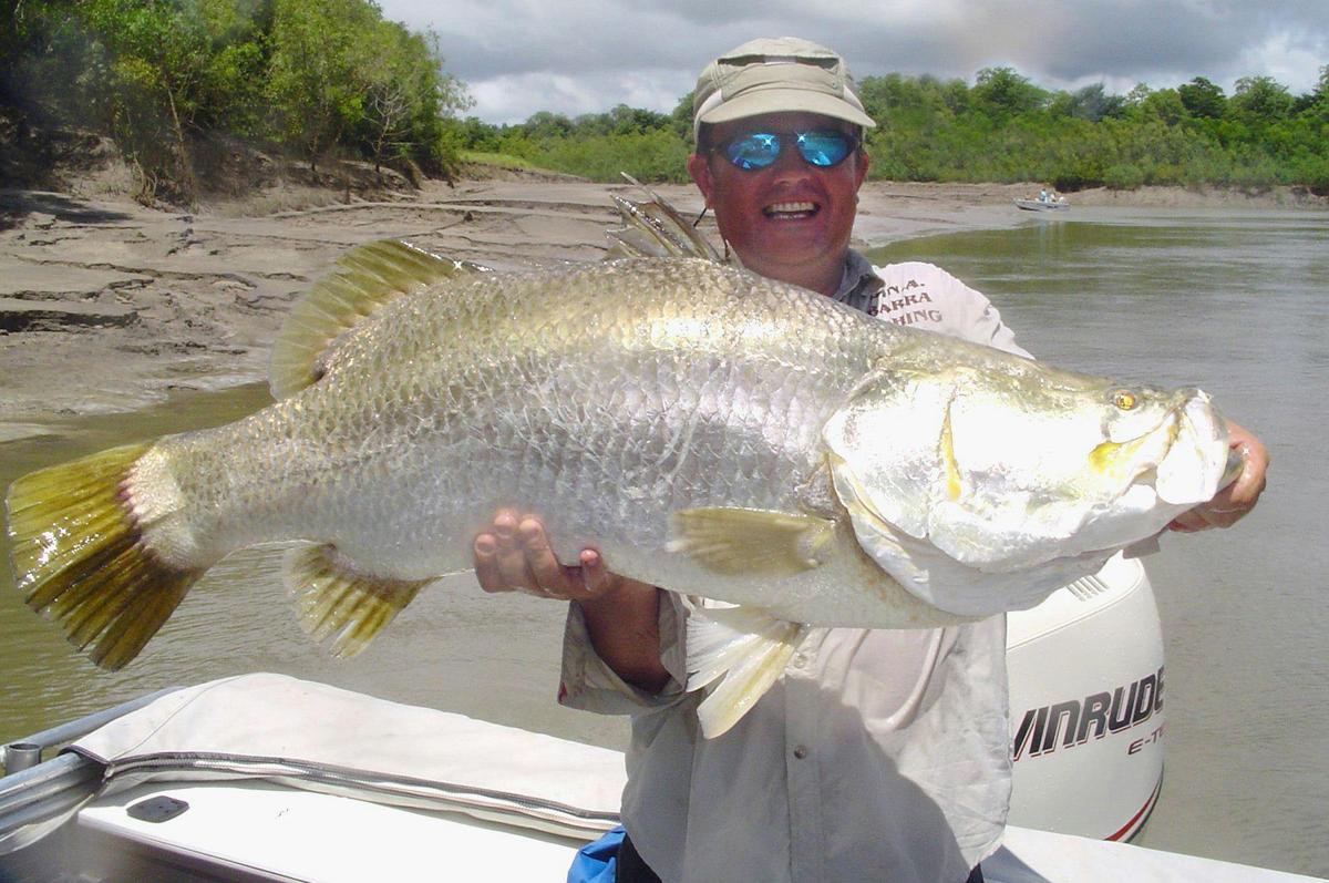DNA Barra Fishing