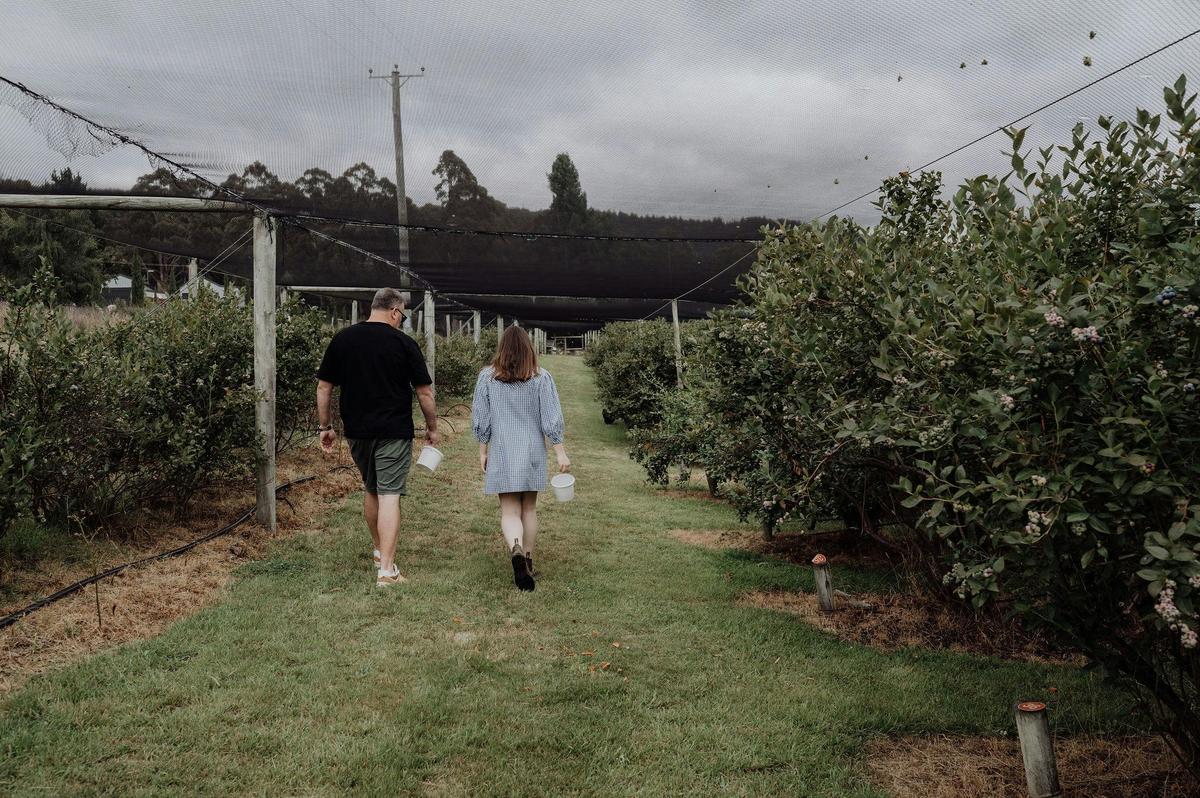 Experience farm life