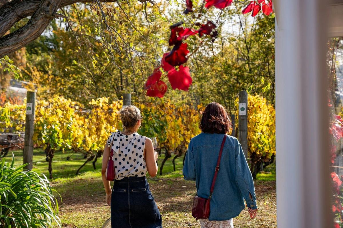 The Wine Hopper