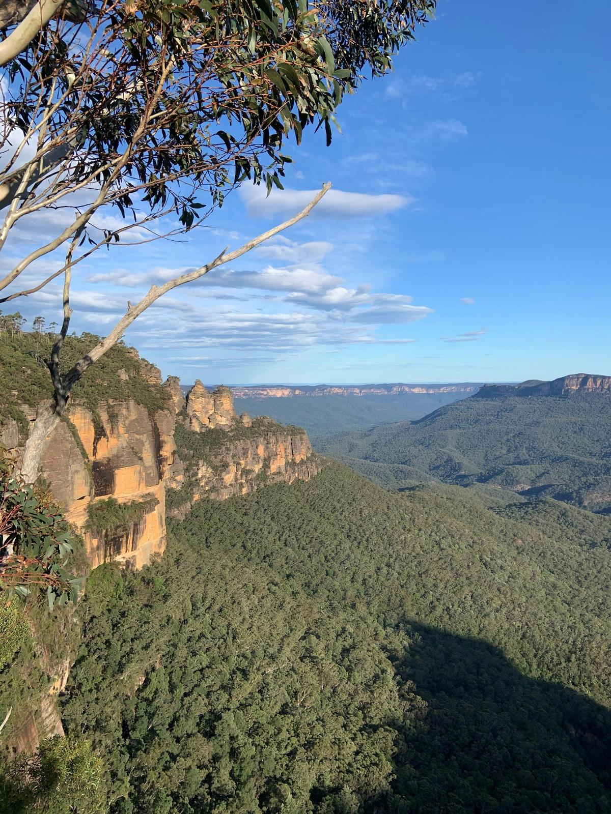 HeartBeat in the Blue Mountains
