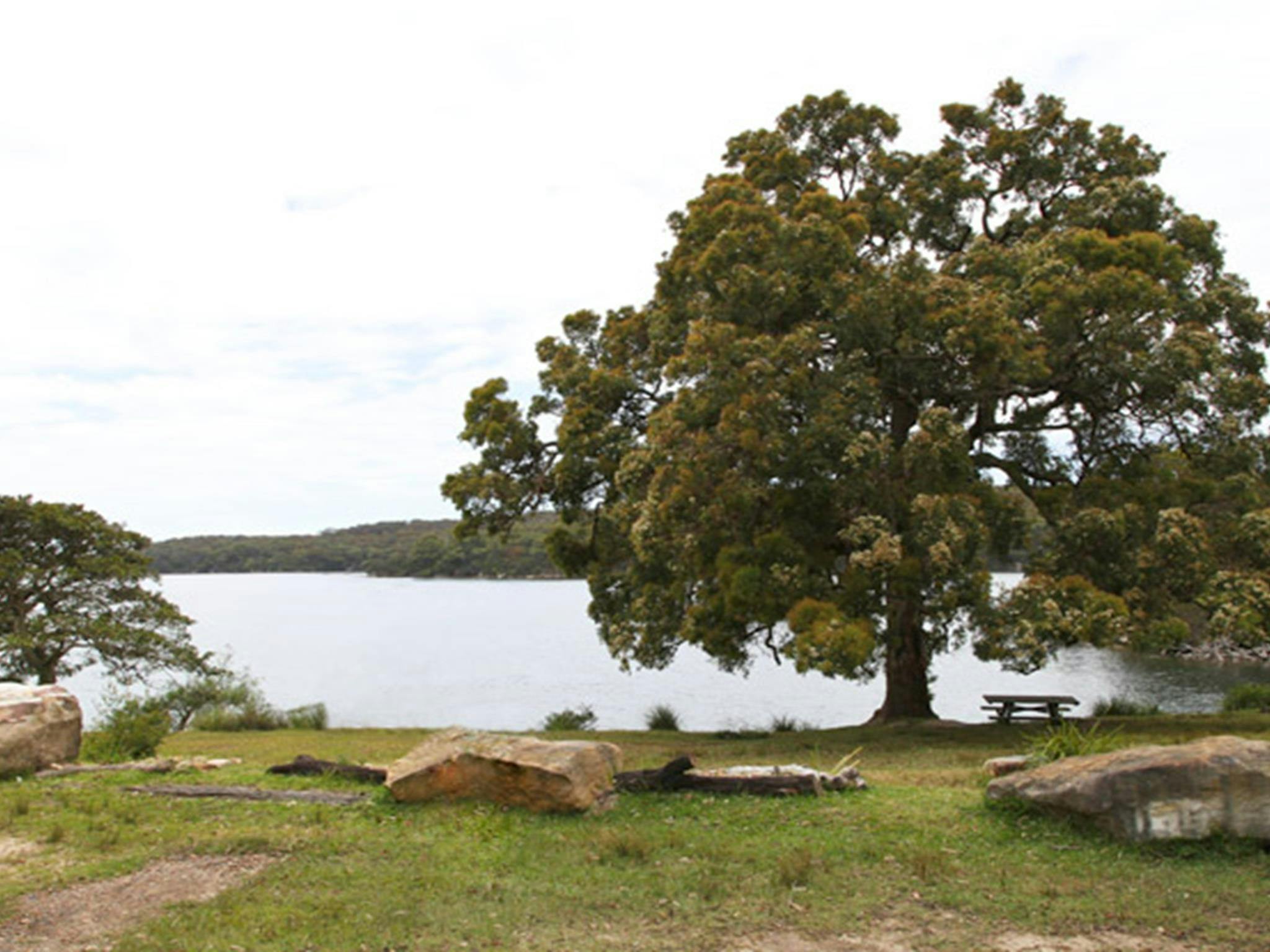 Warumbul picnic area, Royal National Park. Photo: Andy Richards/NSW Government