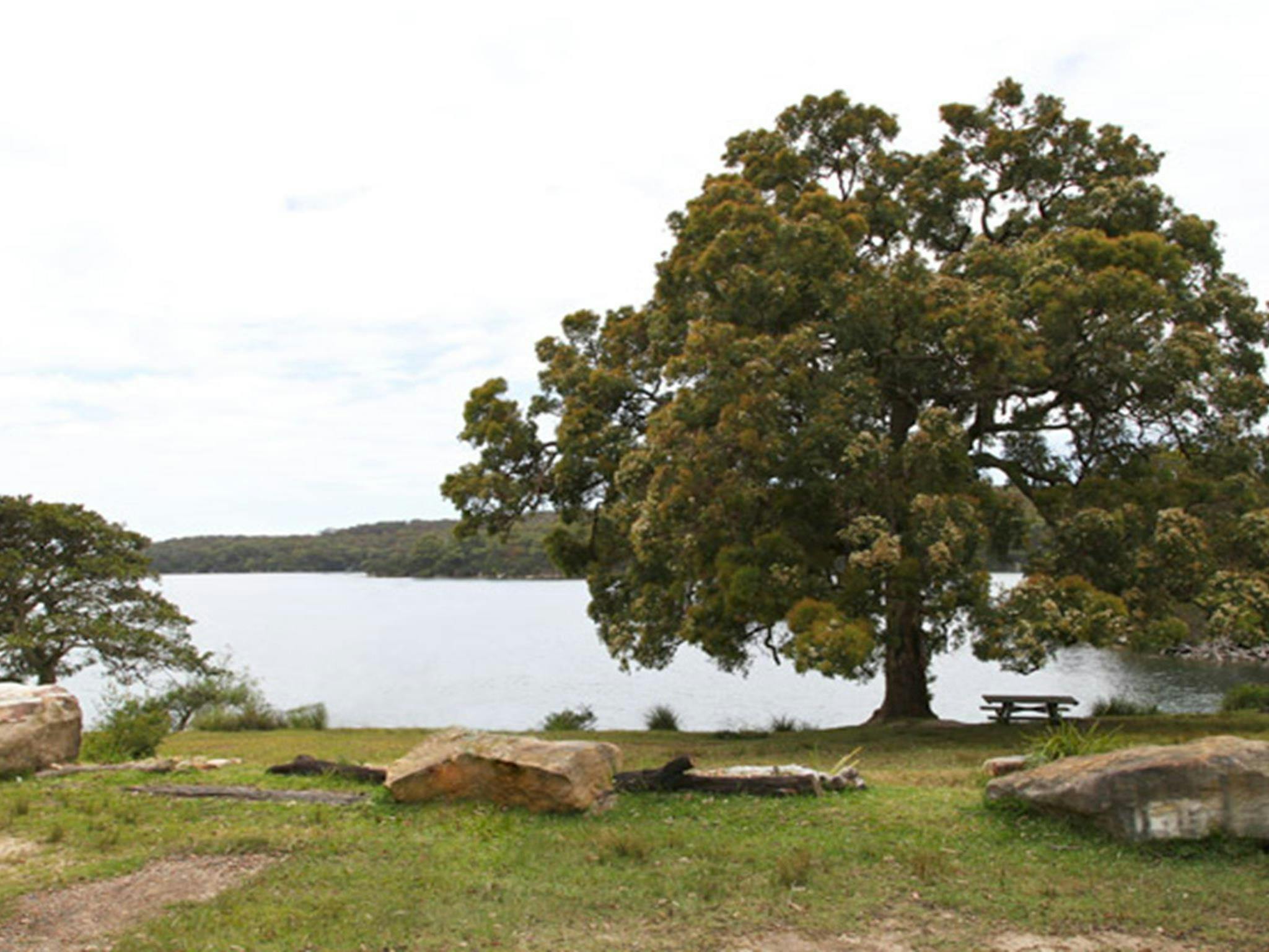 Warumbul picnic area, Royal National Park. Photo: Andy Richards/NSW Government