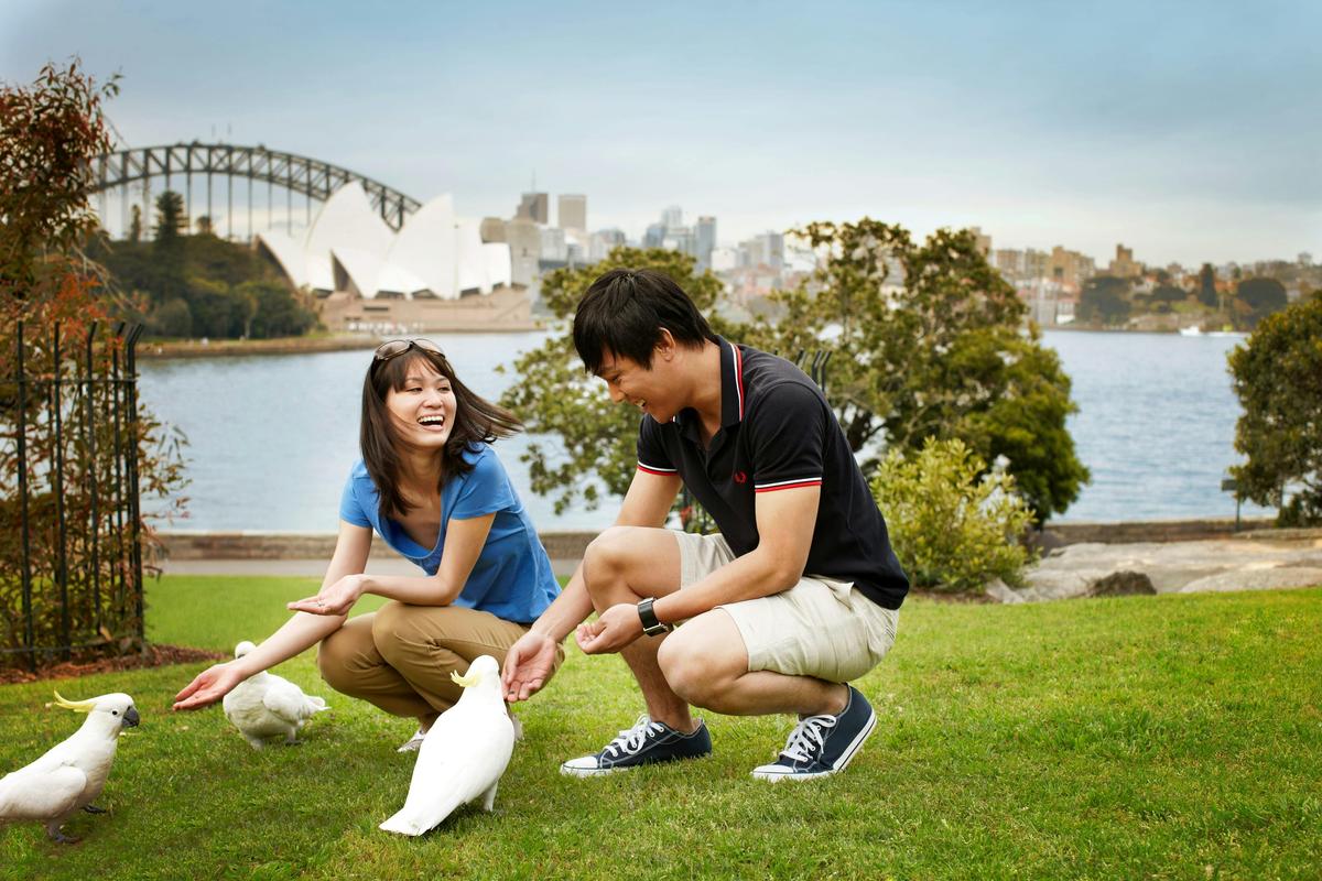 Private Sydney City Tour