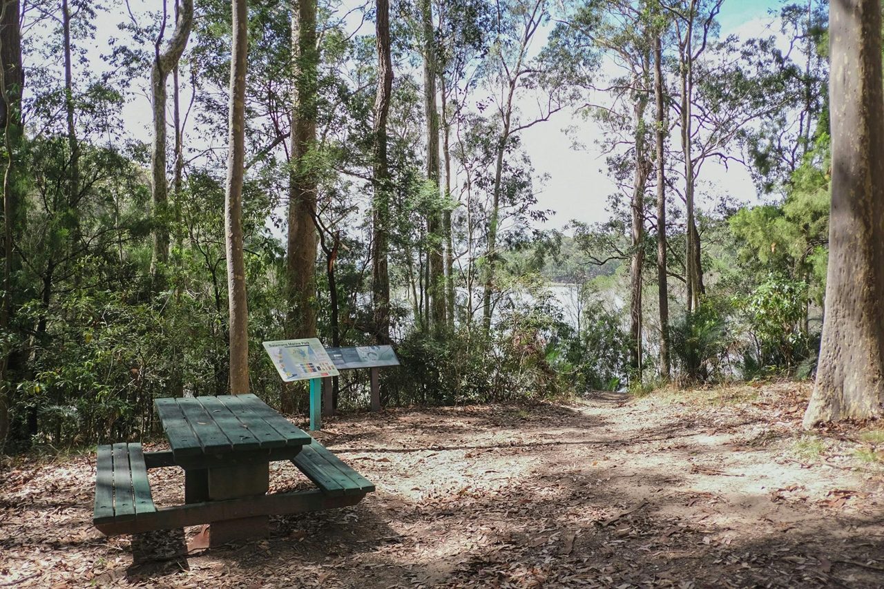 Picnic tables, Bermagui Picnic Area