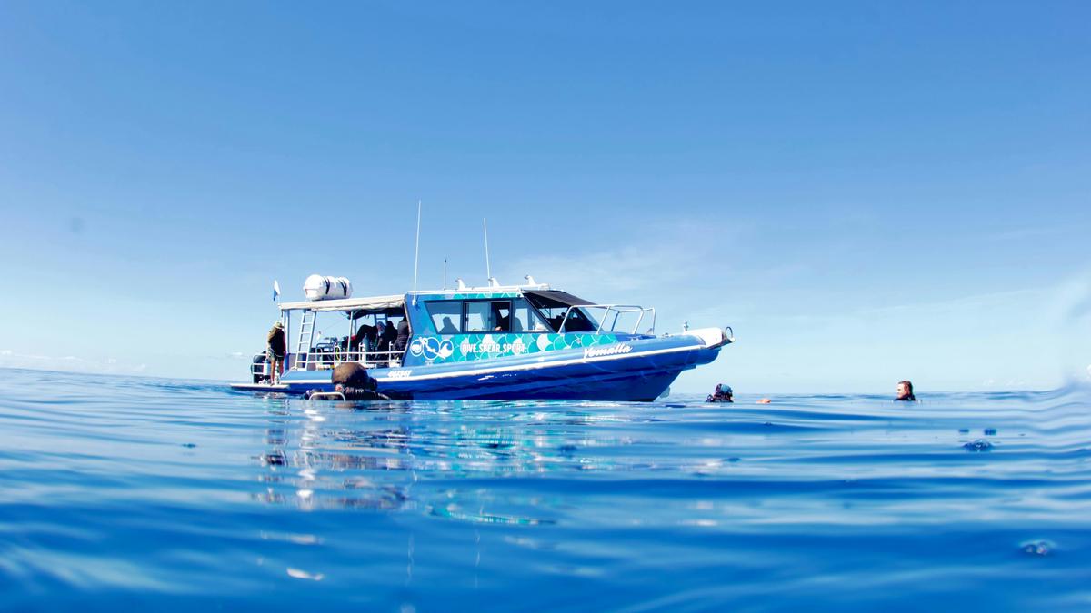 Custom built dive and snorkel vessel Yemalla