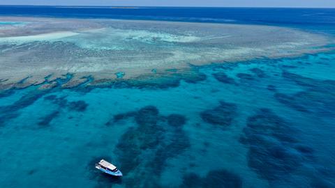 Outer Reef Guided Snorkelling Tour
