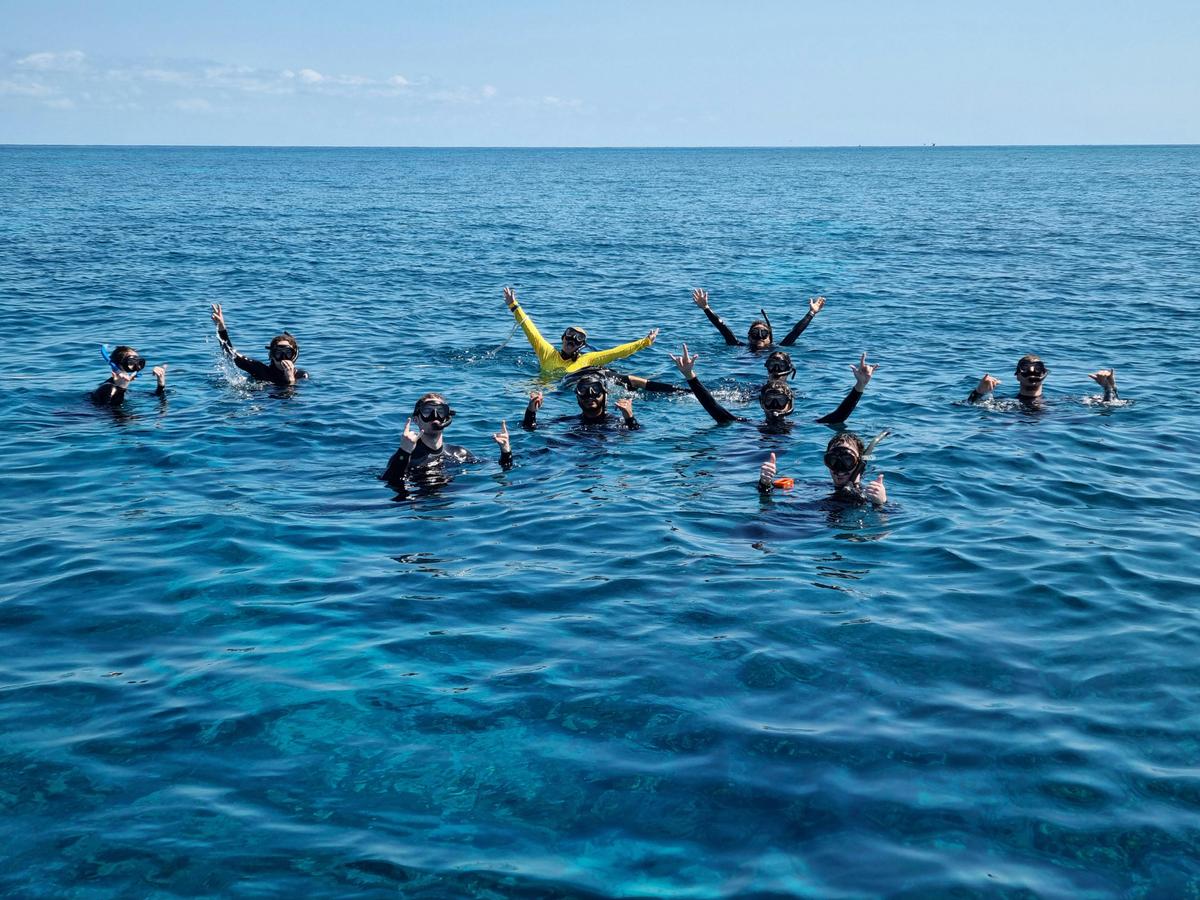 Outer Reef Guided Snorkelling Tour