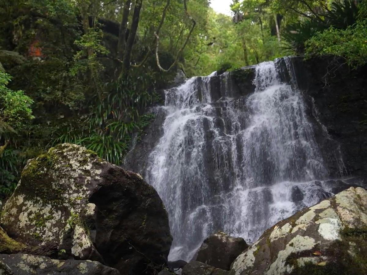 Voices of the River: An evening of short films