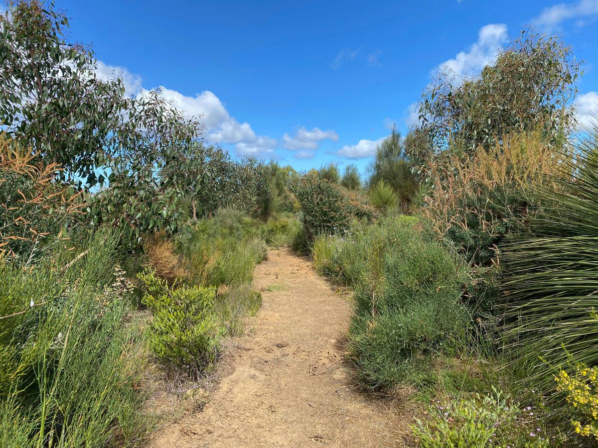 Walking Trail
