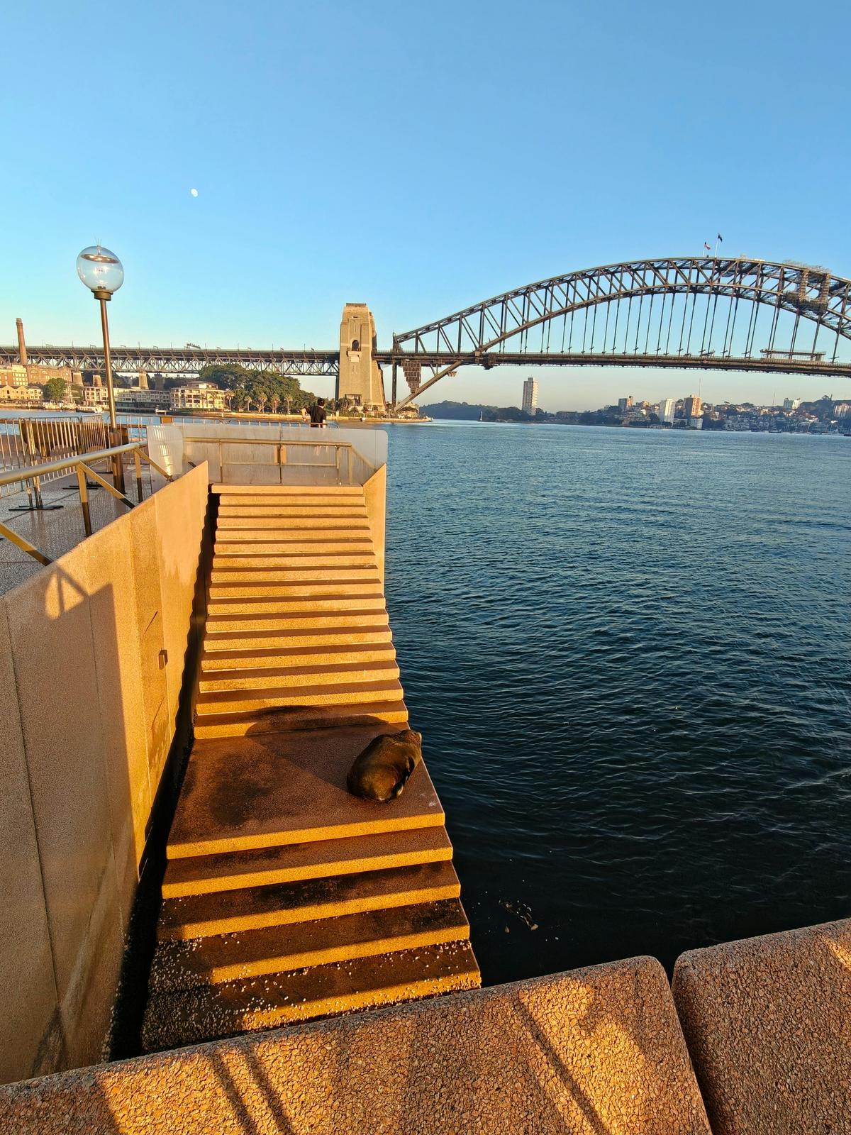 Harbour Highlights Run