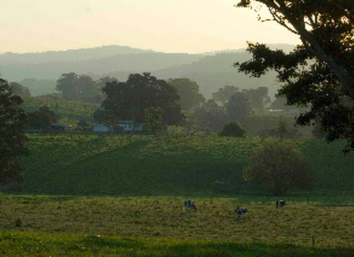 The Valley Views