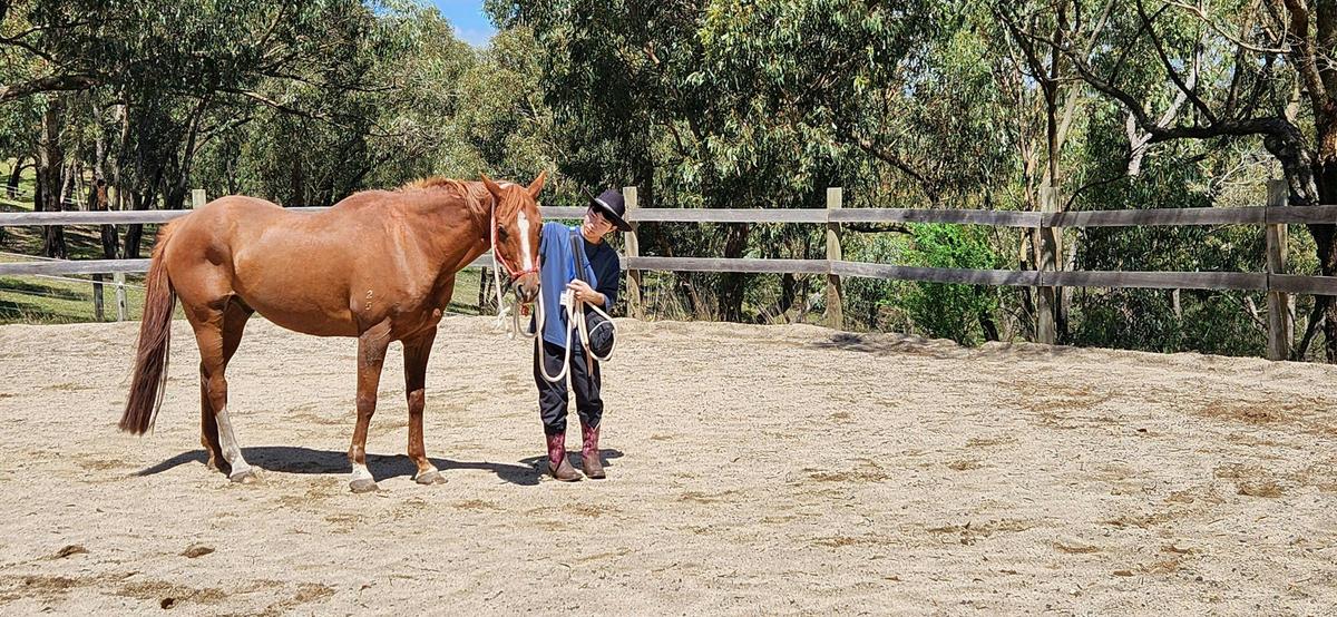Hanging with horses