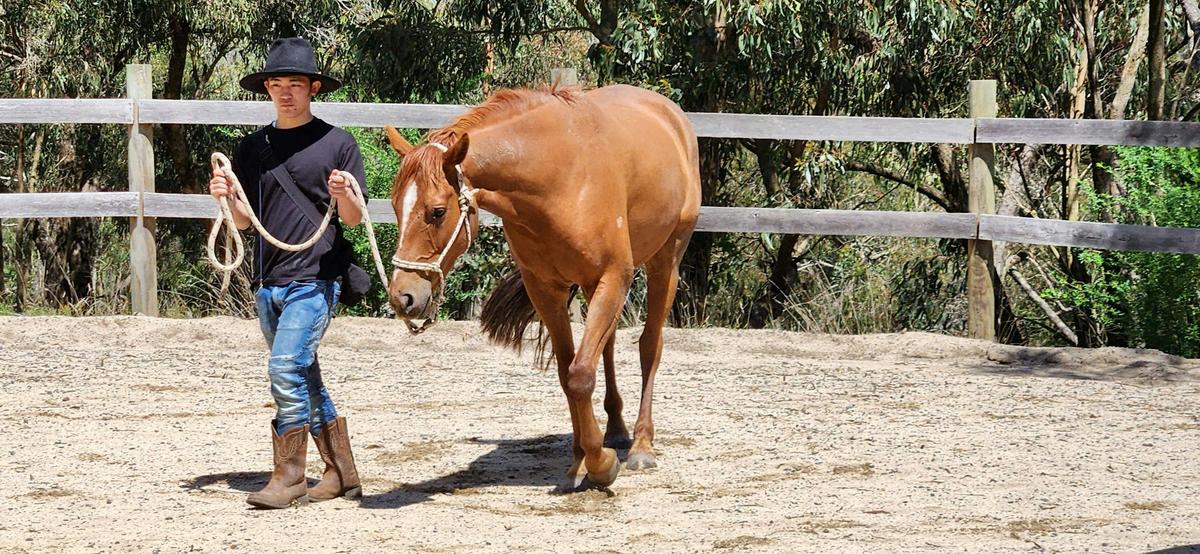 Unleashing the inner cowboy