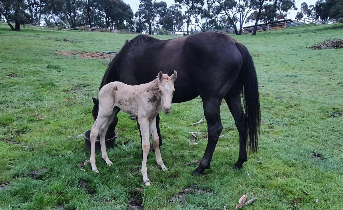 Mum and baby