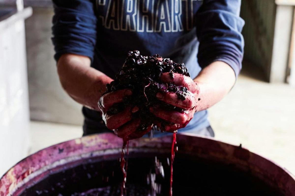 Macedon Ranges Wine Tour