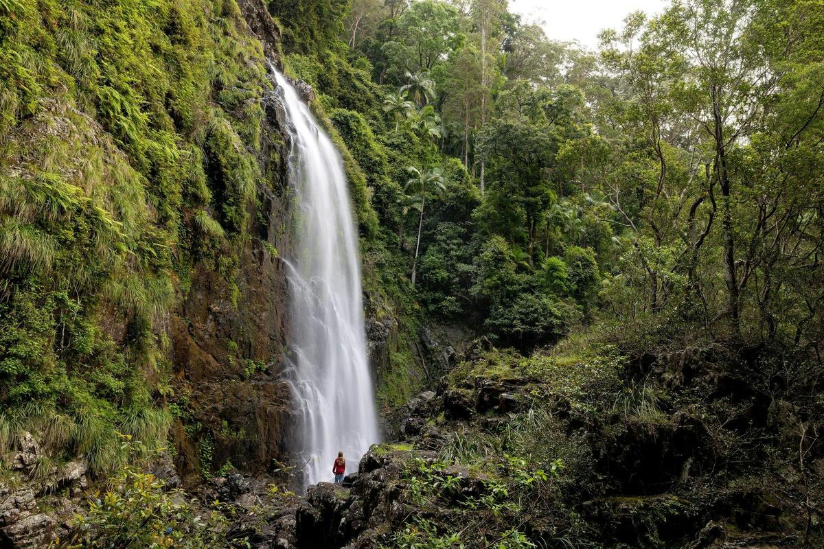 Dorrigo