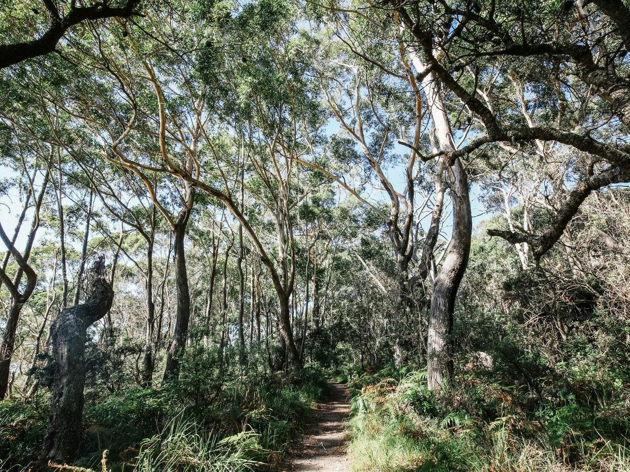 White Sands Walk Track