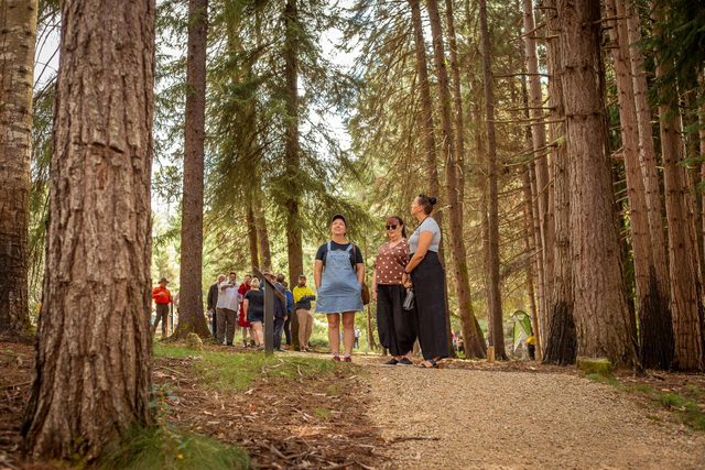 Wellness Walk, Bago State Forest