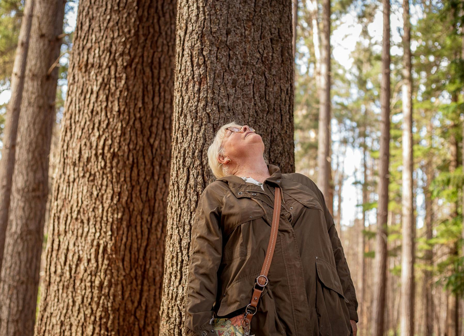 Towering Pines, The Wellness Walk