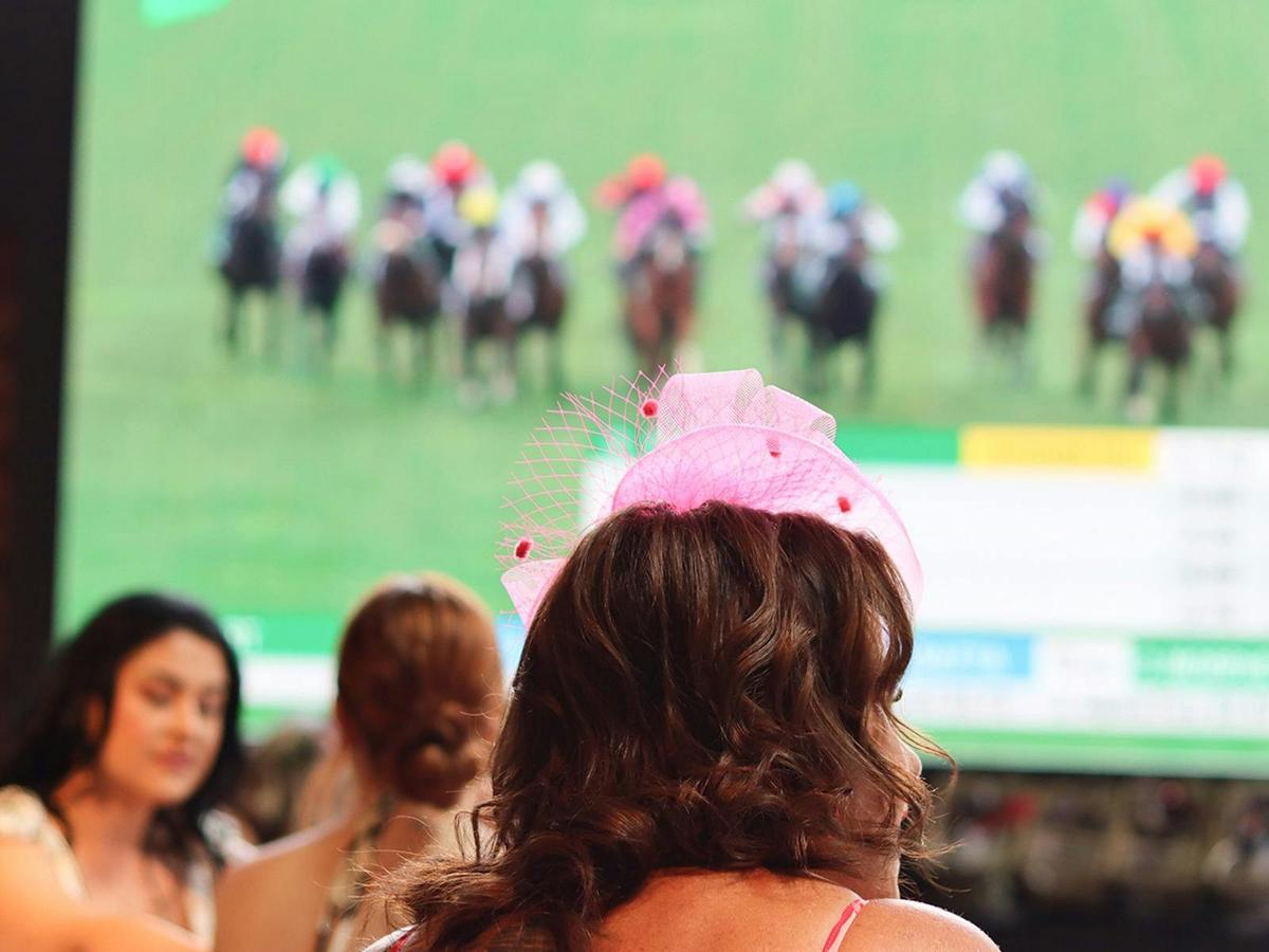 Melbourne Cup at Harrigan's Cameron Park