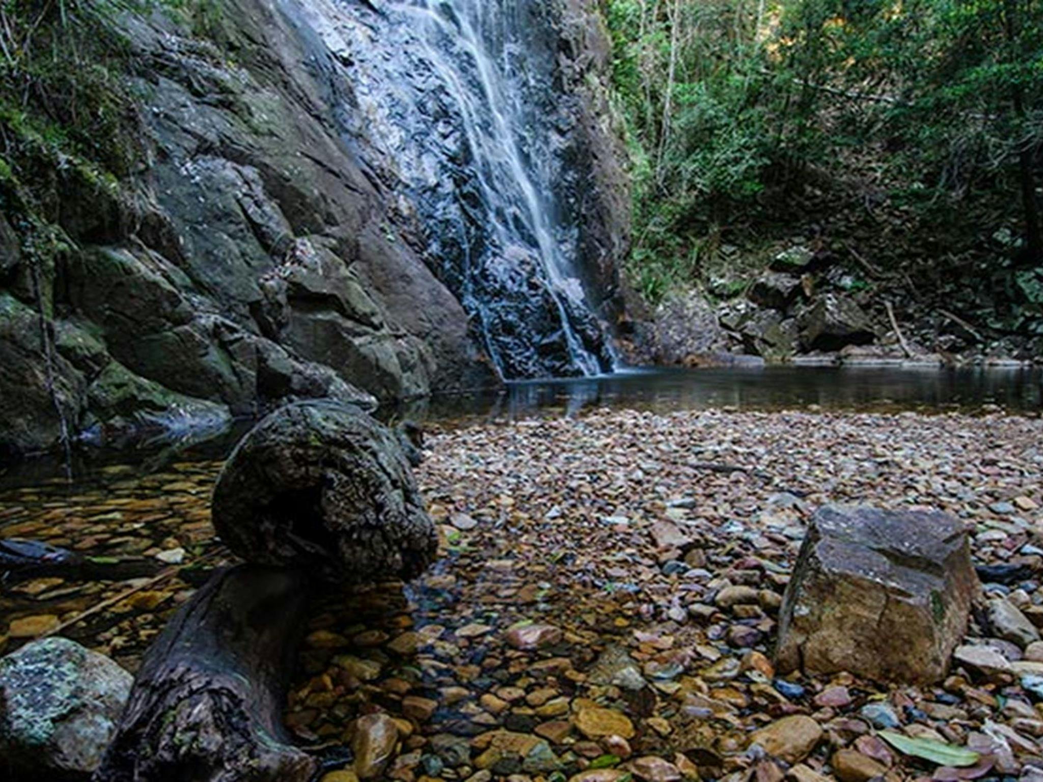 Waterfall, Willi Willi National Park. Photo: John Spencer &copy; DPIE