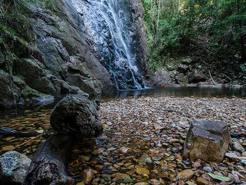 Willi Willi National Park