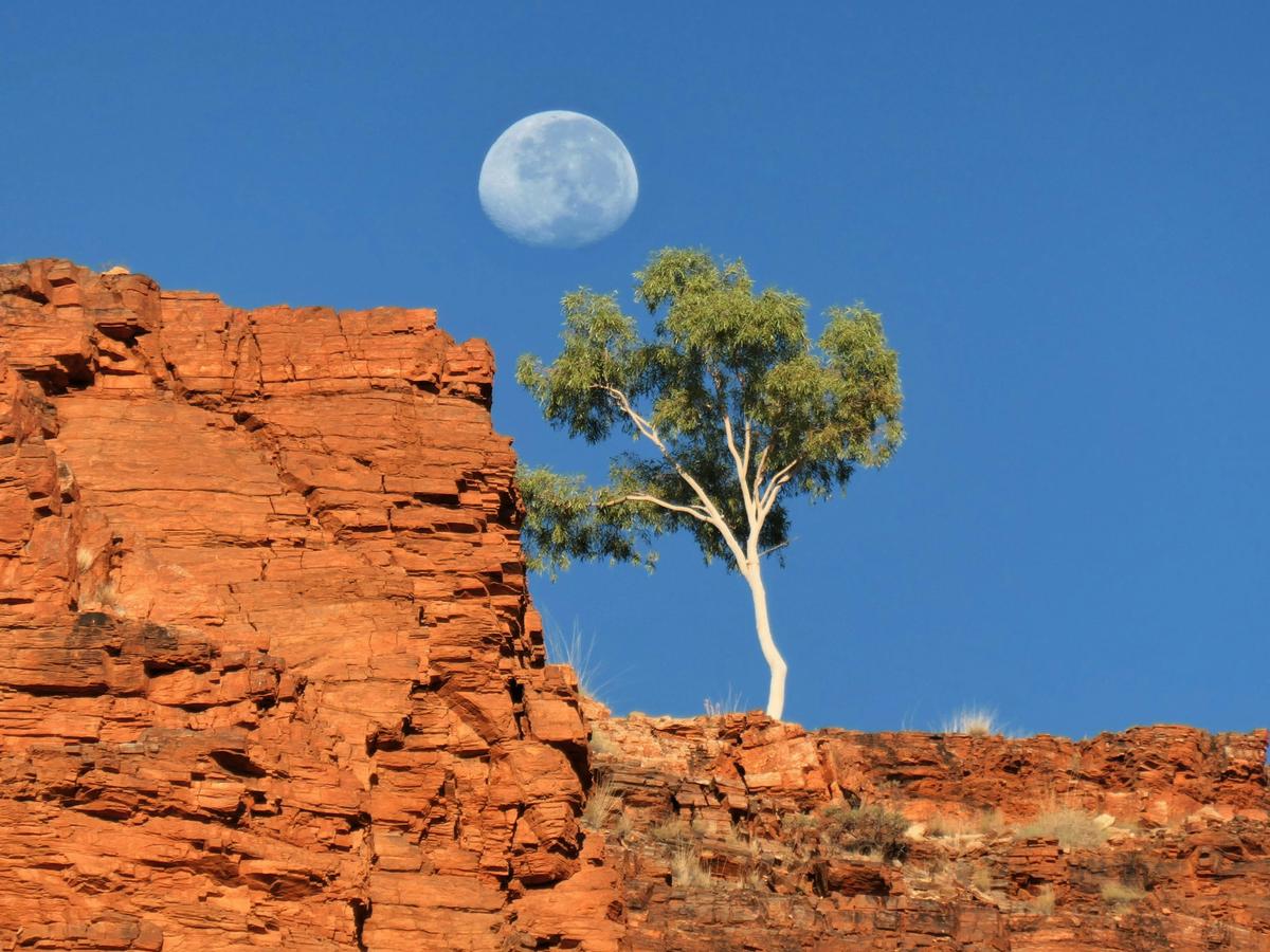 East Macdoonells moonrise
