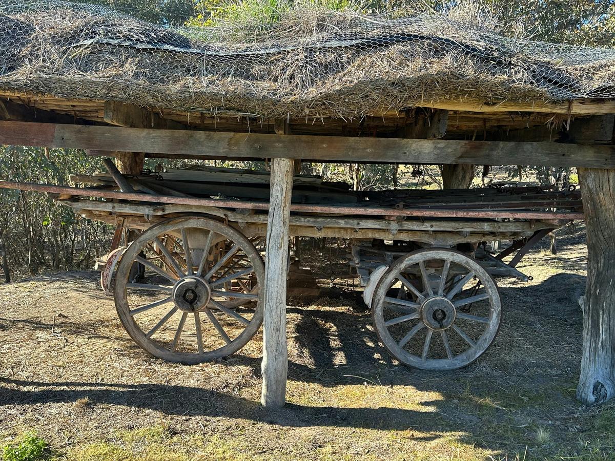 Historic Wagon