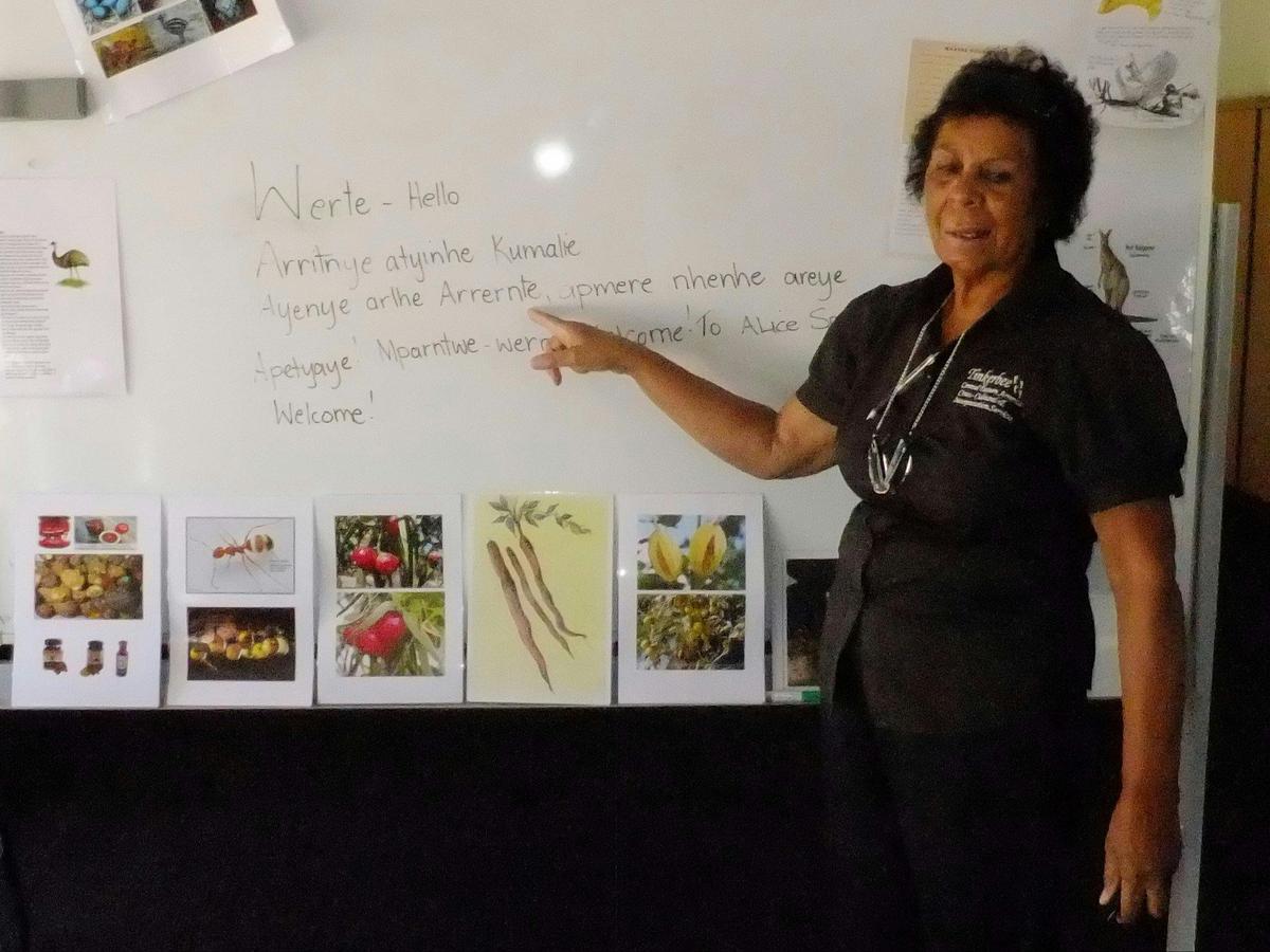 Tinkerbee Cultural Yarns Tour