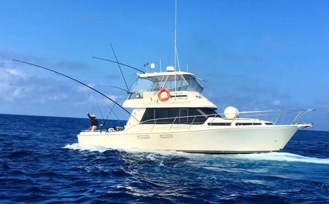 Full Day Game Fishing Marlin and Tuna