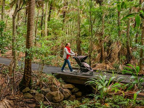 Walgun Cape Byron State Conservation Area
