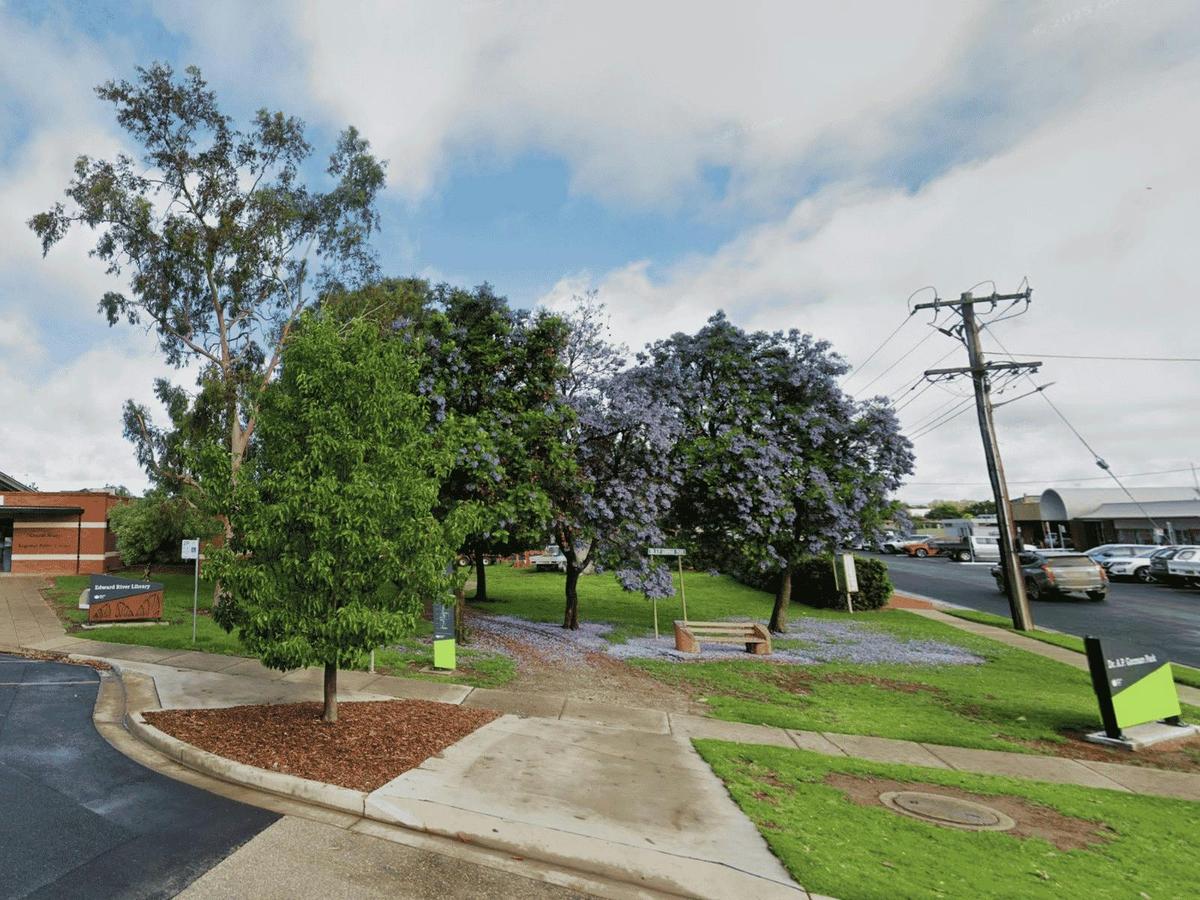 Gorman Park, Whitelock and Napier St entrance