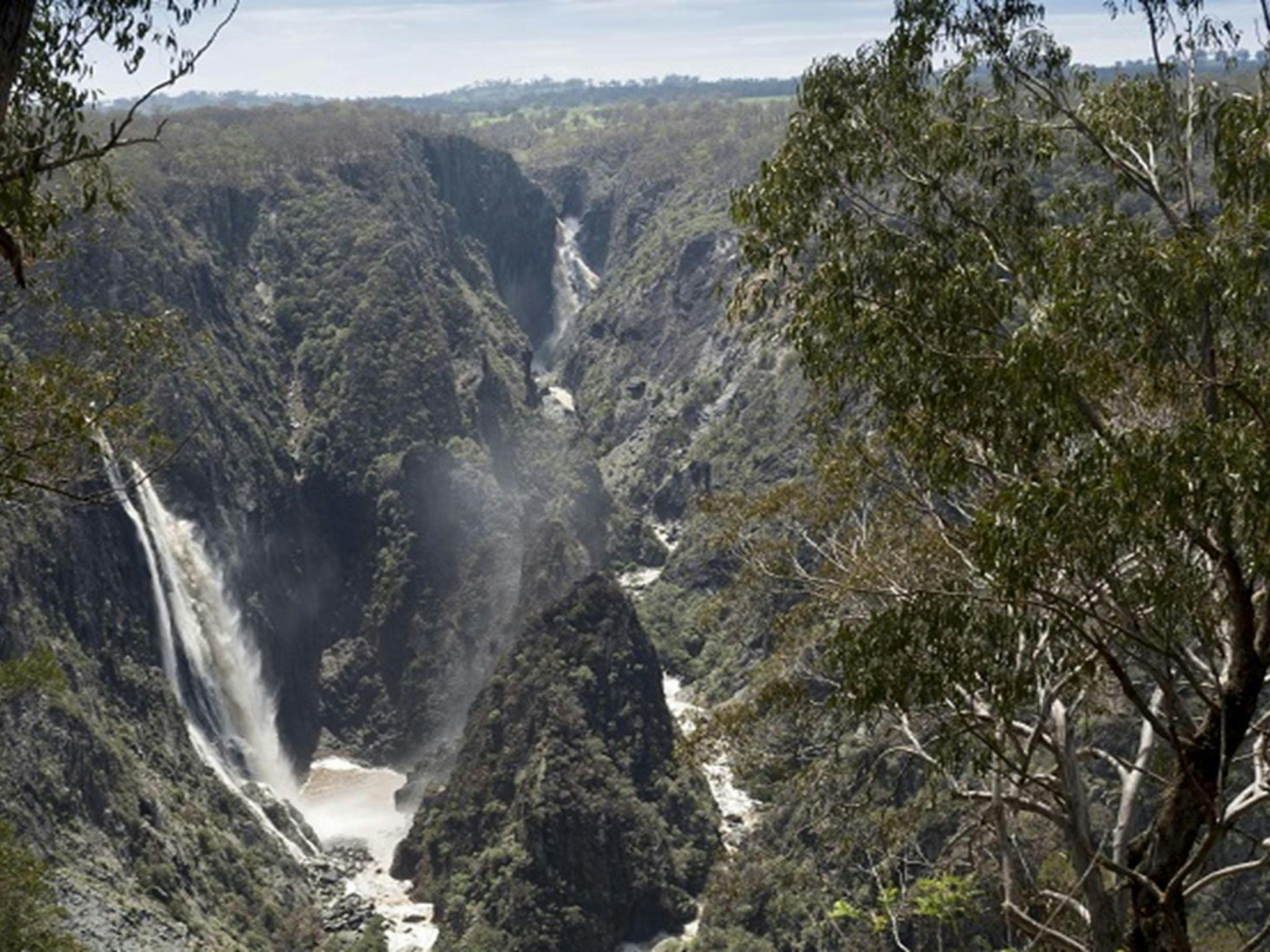 Wollomombi and Chandler Falls, Oxley Wild Rivers National Park. Photo: Leah Pippos/DPIE