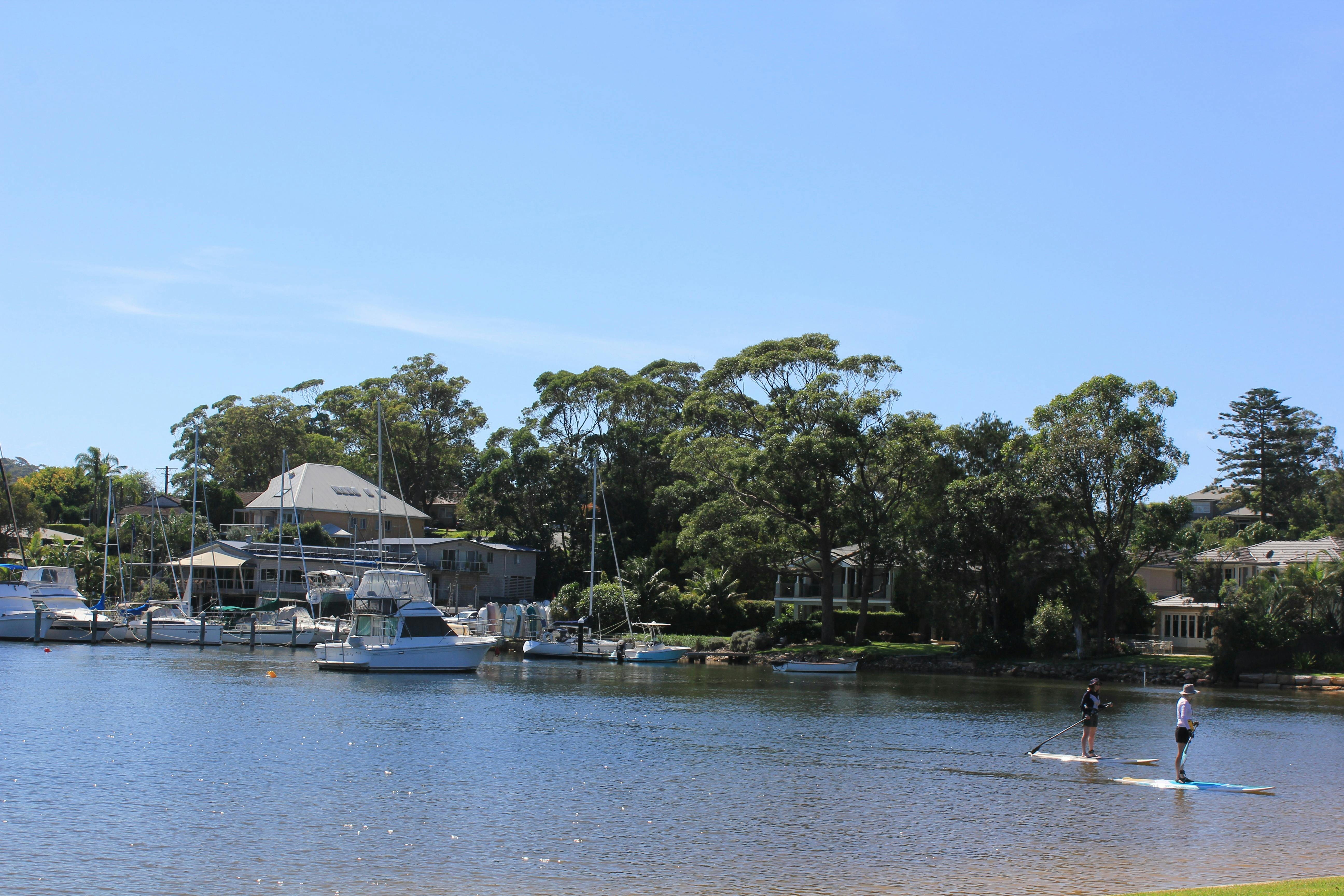 Paddle boarding at Winnererremy Bay