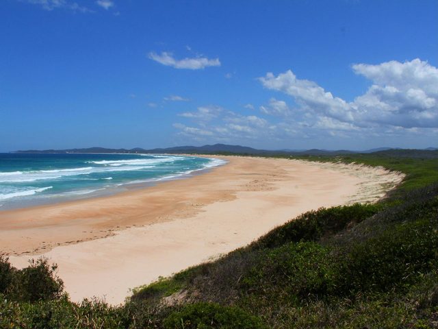 Wilsons Headland