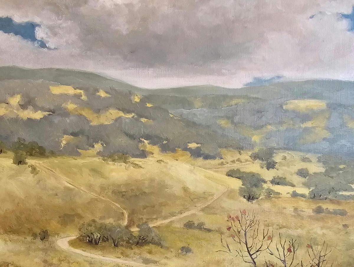 hilly landscape with cloudy sky