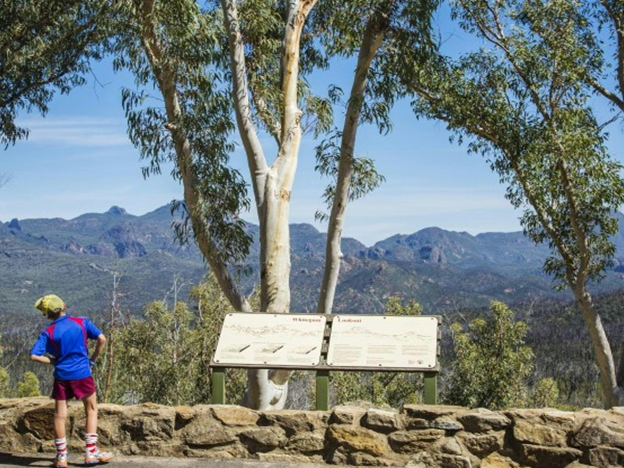 A child next to the interpretive signage at Whitegum lookout in Warrumbungle National Park. Photo: