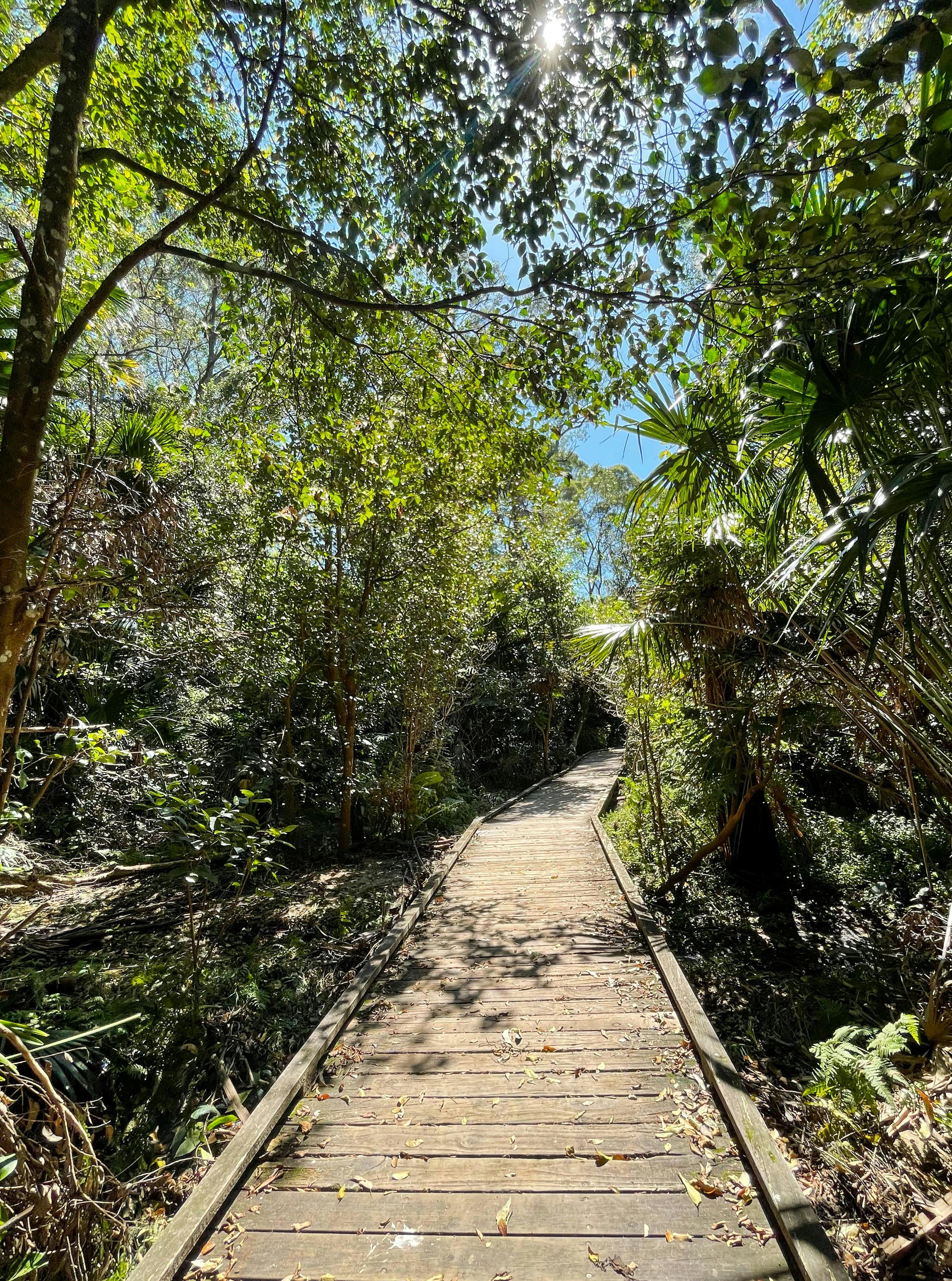Warriewood wetlands
