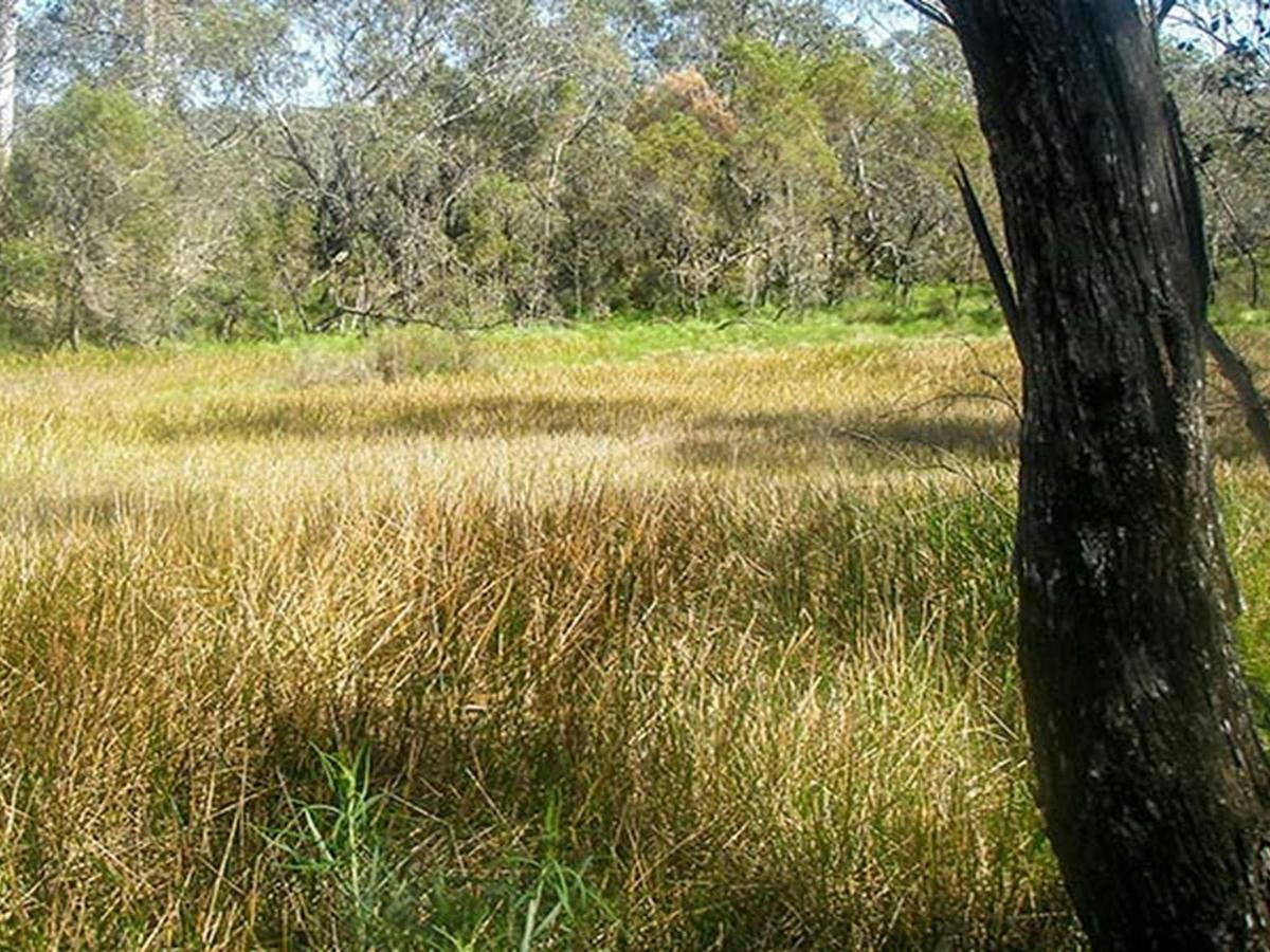 Woomargama National Park. Photo: David Pearce/NSW Government