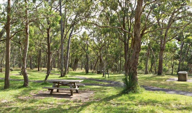 Wollomombi Gorge and Falls Picnic Area