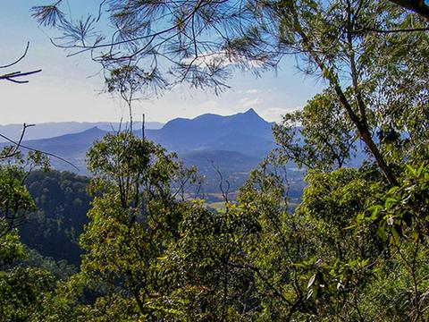 Wollumbin National Park