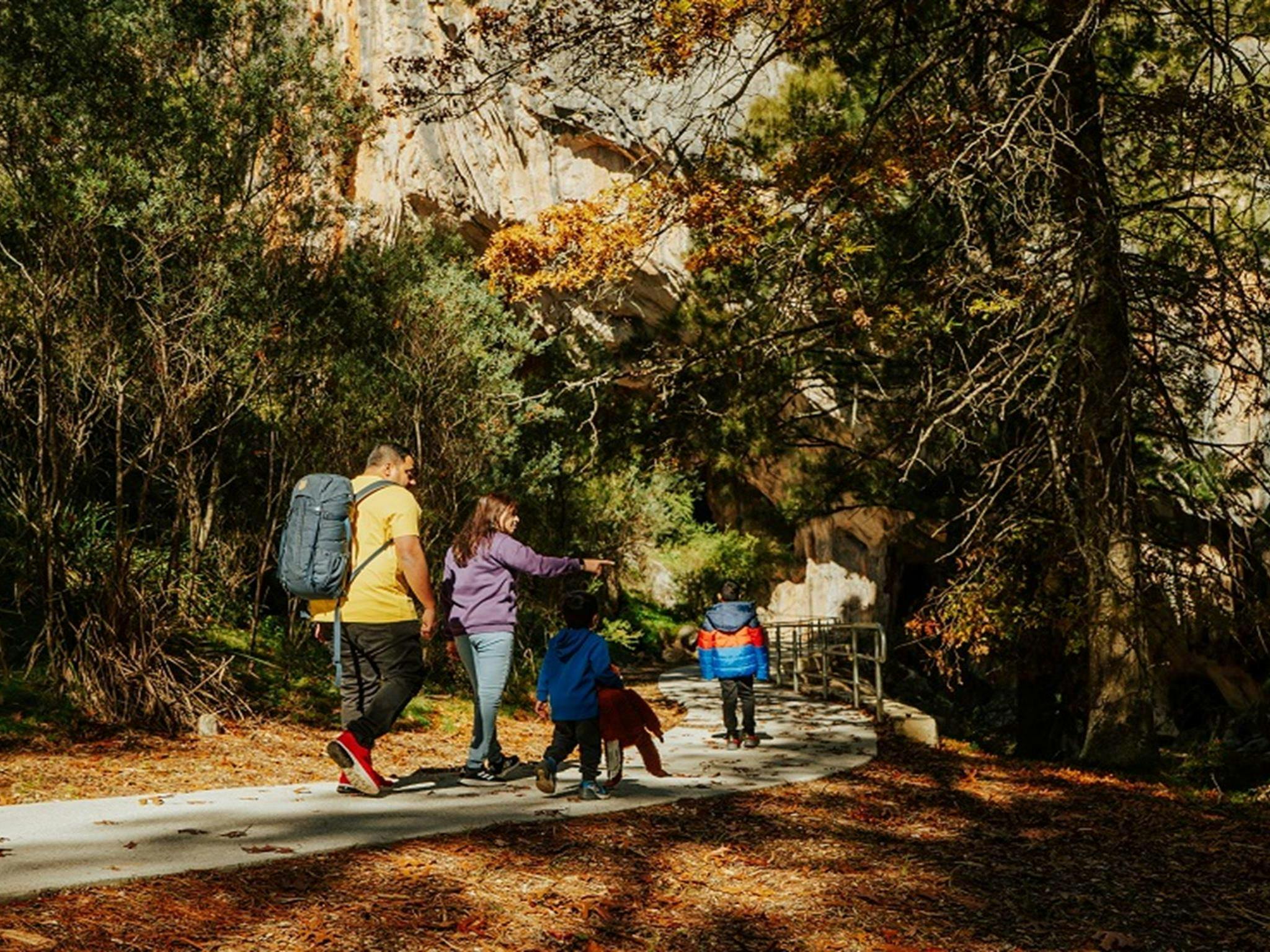 Parents and their 2 young sons walk along Victoria Arch walking track, a gentle flat walk surrounded