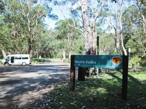 Wattle Forest picnic area