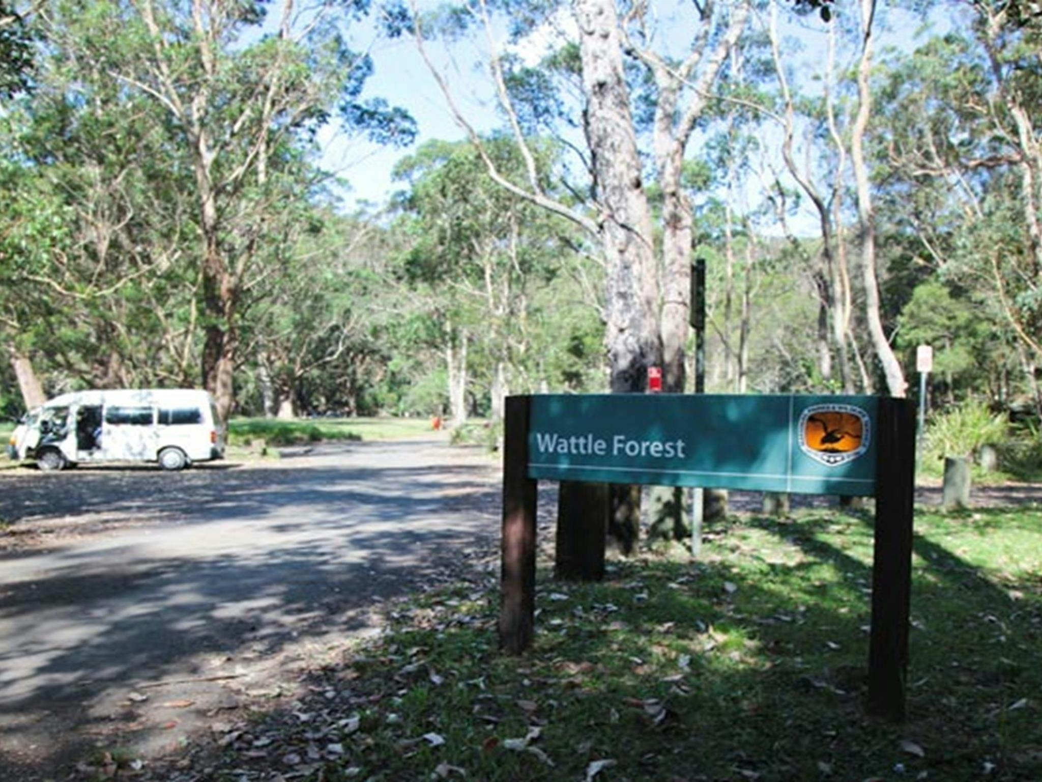 Wattle Forest picnic area, Royal National Park. Photo: Andy Richards/NSW Government