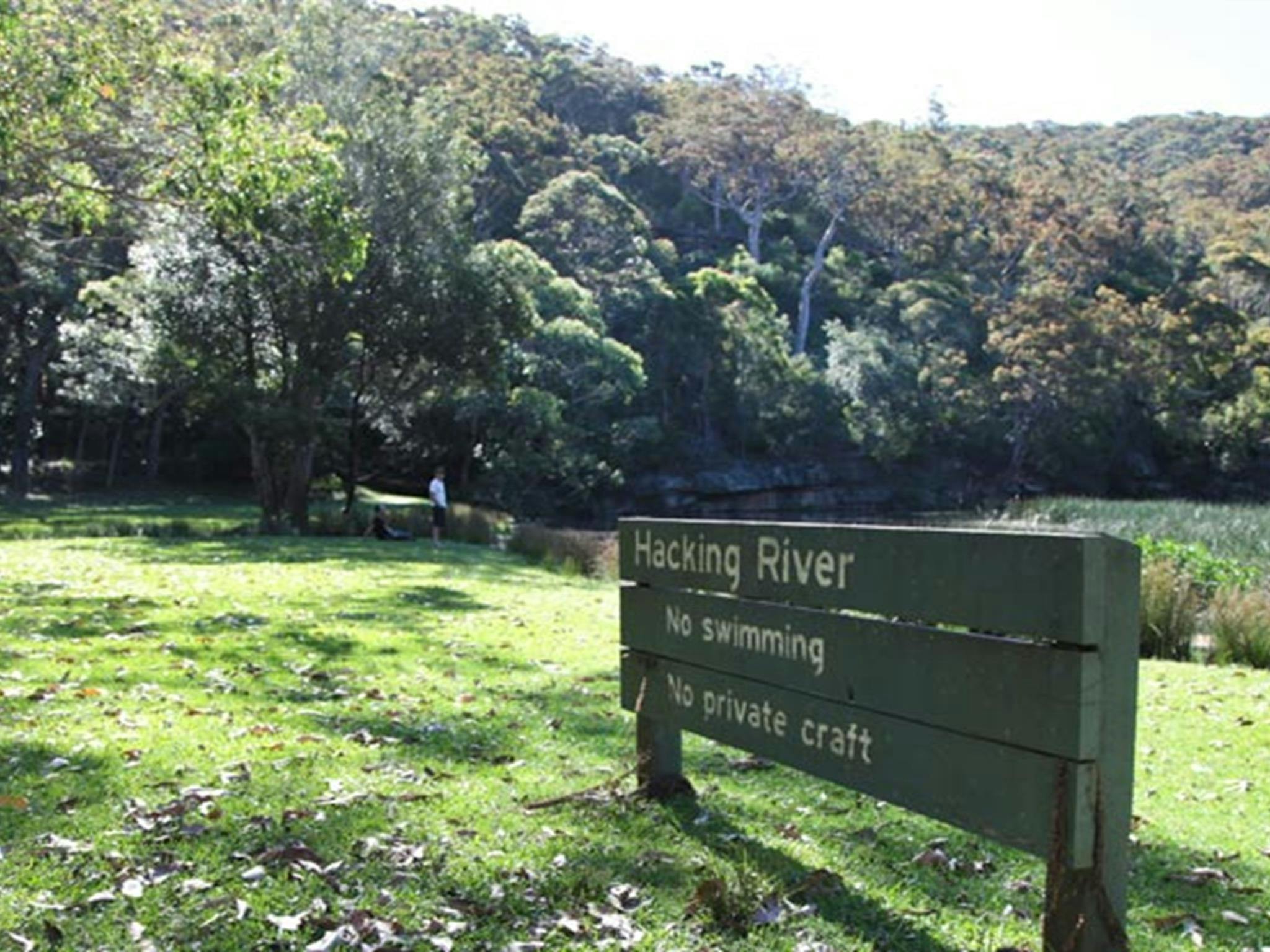 Wattle Forest picnic area, Royal National Park. Photo: Andy Richards/NSW Government
