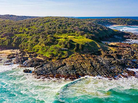 Wilsons Headland picnic area
