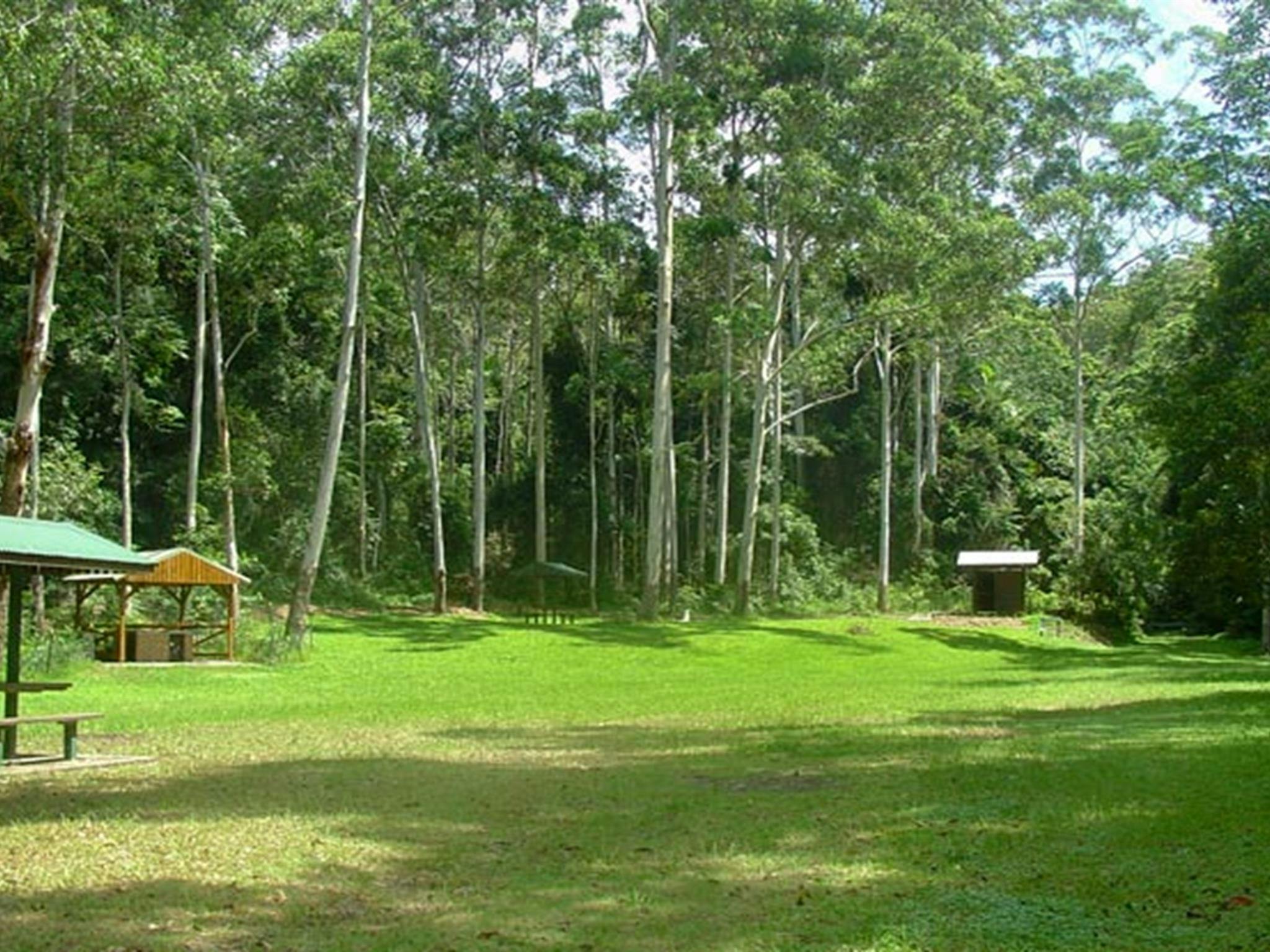 Woolgoolga Creek picnic area, Sherwood Nature Reserve. Photo: Lynn Rees &copy; OEH