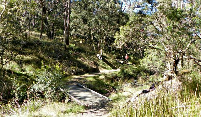 Wollomombi Walking Track