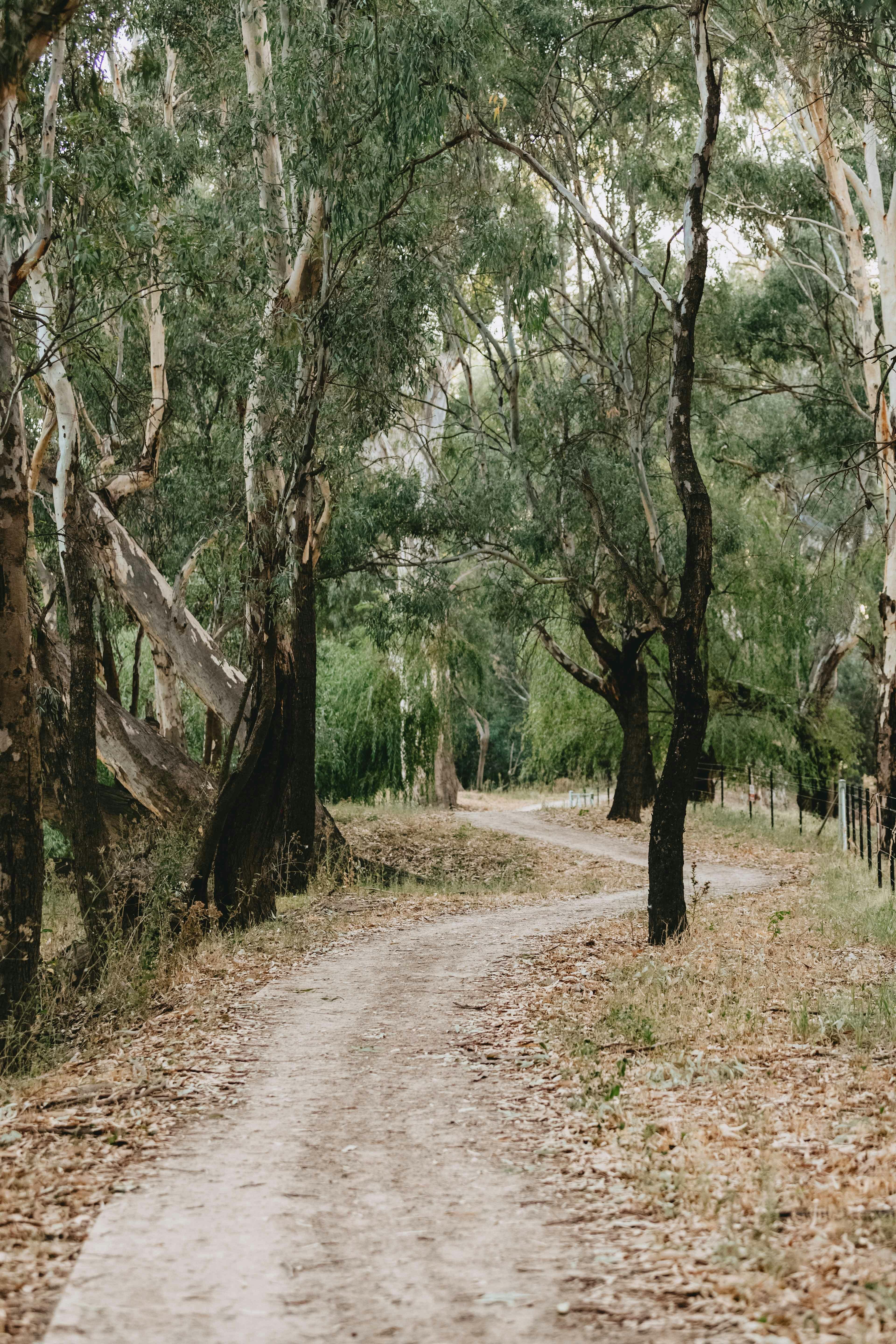 Wiradjuri Walking Track in Wagga Wagga