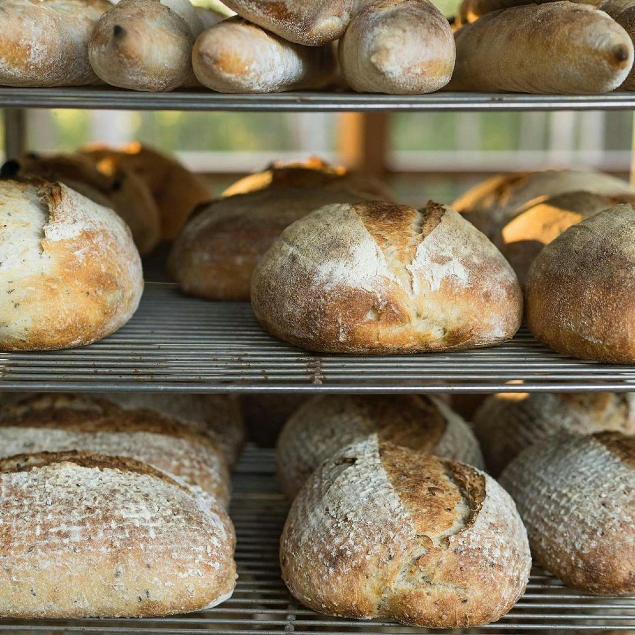 Ashby Sourdough